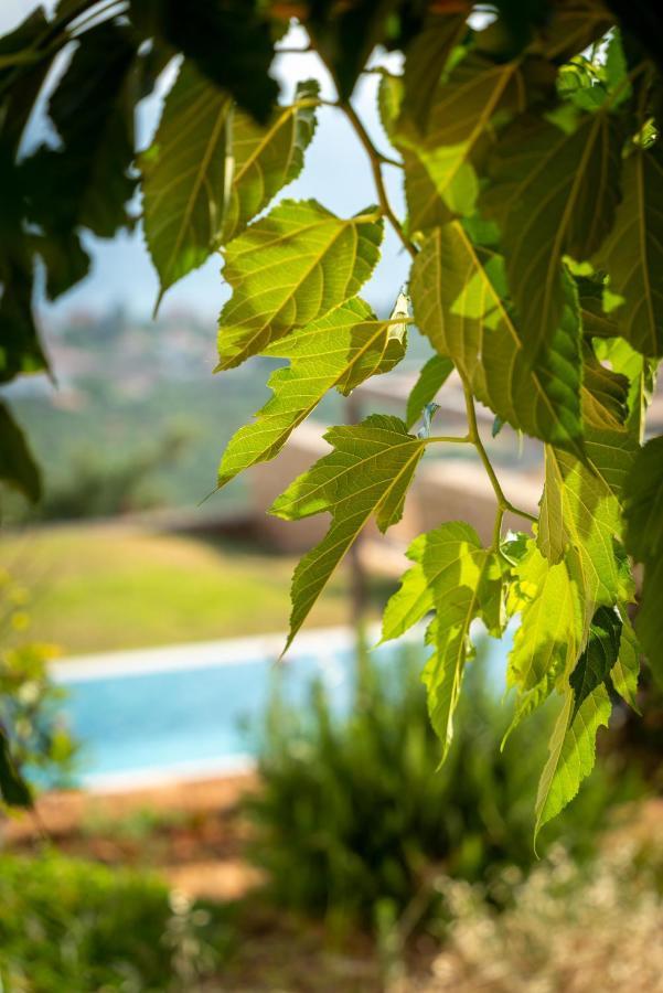 Kika Residences Agios Nikolaos  Buitenkant foto